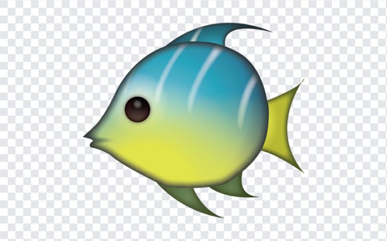 Tropical Fish Emoji, Tropical Fish, Tropical Fish Emoji PNG, Tropical, iOS Emoji, iphone emoji, Emoji PNG, iOS Emoji PNG, Apple Emoji, Apple Emoji PNG, PNG, PNG Images, Transparent Files, png free, png file, Free PNG, png download,