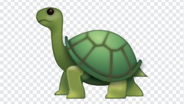 Turtle Emoji, Turtle, Turtle Emoji PNG, iOS Emoji, iphone emoji, Emoji PNG, iOS Emoji PNG, Apple Emoji, Apple Emoji PNG, PNG, PNG Images, Transparent Files, png free, png file, Free PNG, png download,