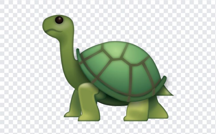 Turtle Emoji, Turtle, Turtle Emoji PNG, iOS Emoji, iphone emoji, Emoji PNG, iOS Emoji PNG, Apple Emoji, Apple Emoji PNG, PNG, PNG Images, Transparent Files, png free, png file, Free PNG, png download,