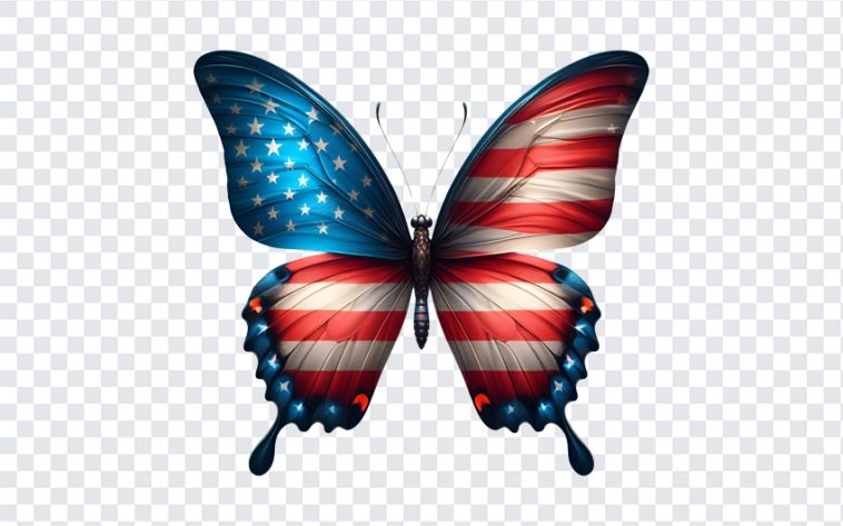 USA Flag Butterfly, USA Flag, USA Flag Butterfly PNG, Butterfly PNG, USA, PNG, PNG Images, Transparent Files, png free, png file, Free PNG, png download,