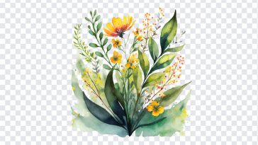Watercolors Floral, Watercolors, Watercolors Floral PNG, Floral PNG, PNG, PNG Images, Transparent Files, png free, png file, Free PNG, png download,