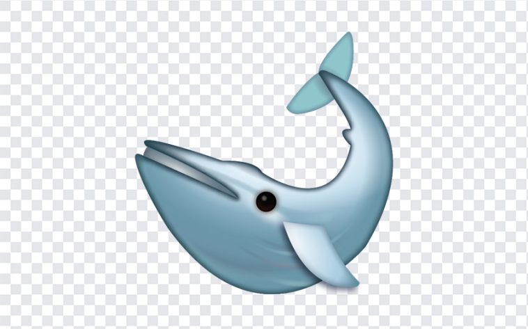 Whale Emoji, Whale, Whale Emoji PNG, iOS Emoji, iphone emoji, Emoji PNG, iOS Emoji PNG, Apple Emoji, Apple Emoji PNG, PNG, PNG Images, Transparent Files, png free, png file, Free PNG, png download,