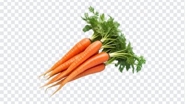 Carrots, Vegetables, Carrots PNG, Natural, Organic Carrots, Organic, Green, Go Green, PNG, PNG Images, Transparent Files, png free, png file, Free PNG, png download,