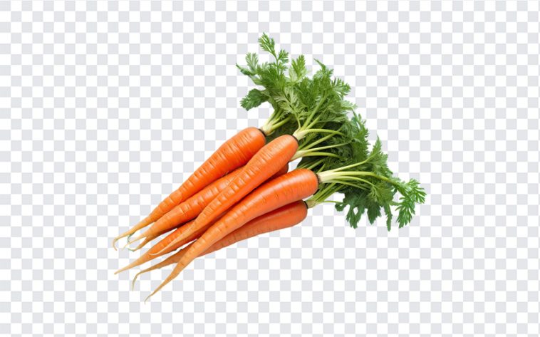 Carrots, Vegetables, Carrots PNG, Natural, Organic Carrots, Organic, Green, Go Green, PNG, PNG Images, Transparent Files, png free, png file, Free PNG, png download,