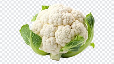 Cauliflower, Vegetables, Cauliflower PNG, PNG, PNG Images, Transparent Files, png free, png file, Free PNG, png download,