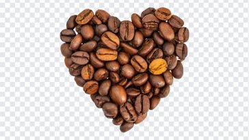 Coffee Lovers, Coffee, Coffee Lovers PNG, Coffee Beans, Beans, PNG, PNG Images, Transparent Files, png free, png file, Free PNG, png download,