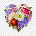 Colorful Flower Heart, Colorful Flower, Colorful Flower Heart PNG, Colorful, Heart PNG, Flower PNG, Flower, PNG, PNG Images, Transparent Files, png free, png file, Free PNG, png download,