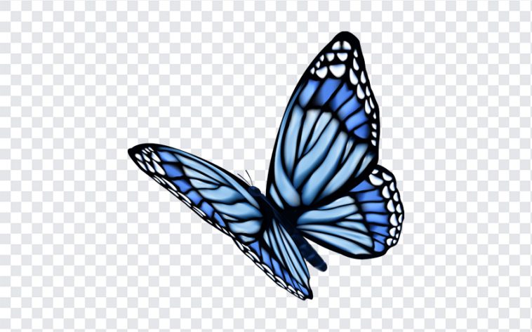 Flying Butterfly, Flying, Flying Butterfly PNG, Butterfly PNG, Cliprart, Butterfly Clipart PNG, Blue Butterfly, PNG, PNG Images, Transparent Files, png free, png file, Free PNG, png download,