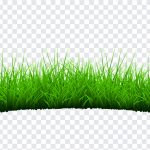 Grass, Grass PNG, PNG, PNG Images, Transparent Files, png free, png file, Free PNG, png download,