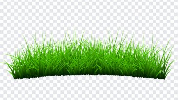 Grass, Grass PNG, PNG, PNG Images, Transparent Files, png free, png file, Free PNG, png download,