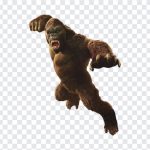 King Kong, King, King Kong PNG, Godzilla x Kingkong, Monarch, Skull Island, PNG, PNG Images, Transparent Files, png free, png file, Free PNG, png download,