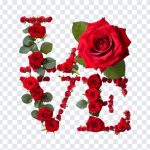 Love Word with Red Roses, Love Word with Red, Love Word with Red Roses PNG, Red Roses PNG Love PNG, Red Roses Love, PNG, PNG Images, Transparent Files, png free, png file, Free PNG, png download,