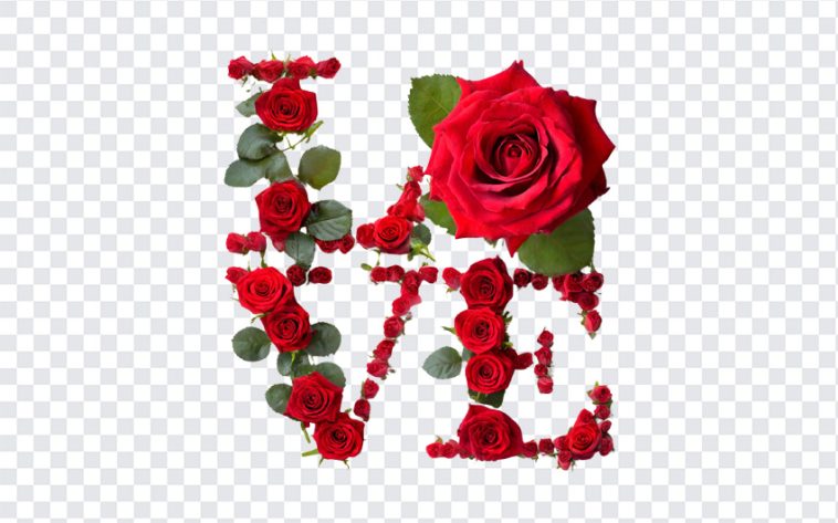 Love Word with Red Roses, Love Word with Red, Love Word with Red Roses PNG, Red Roses PNG Love PNG, Red Roses Love, PNG, PNG Images, Transparent Files, png free, png file, Free PNG, png download,