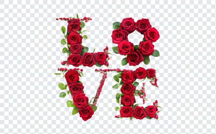 Love Word with Red Roses, Love Word with Red, Love Word with Red Roses PNG, Love Word PNG, Love PNG, Roses, Flower Words, Flowers, Red Roses PNG, PNG, PNG Images, Transparent Files, png free, png file, Free PNG, png download,