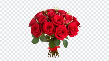 Lovely Red Roses Bouquet, Lovely Red Roses, Lovely Red Roses Bouquet PNG, Red Roses, Flowers PNG, Red Roses Bouquet PNG, Lovely Red, PNG, PNG Images, Transparent Files, png free, png file, Free PNG, png download,