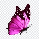 Pink Butterfly, Pink, Pink Butterfly PNG, Butterfly PNG, PNG, PNG Images, Transparent Files, png free, png file, Free PNG, png download,