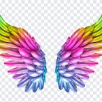 Rainbow Wings, Rainbow, Rainbow Wings PNG, Wings PNG, Angel Wings, PNG, PNG Images, Transparent Files, png free, png file, Free PNG, png download,