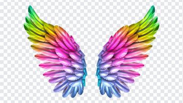 Rainbow Wings, Rainbow, Rainbow Wings PNG, Wings PNG, Angel Wings, PNG, PNG Images, Transparent Files, png free, png file, Free PNG, png download,