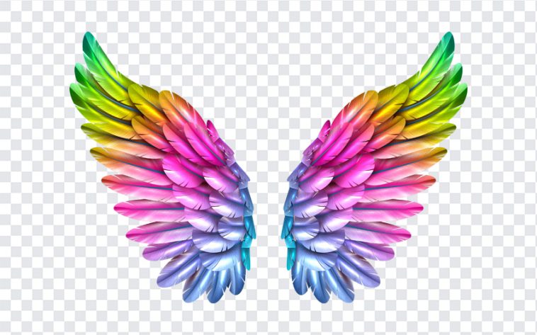 Rainbow Wings, Rainbow, Rainbow Wings PNG, Wings PNG, Angel Wings, PNG, PNG Images, Transparent Files, png free, png file, Free PNG, png download,