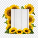 Sunflower Message Board, Sunflower Message, Sunflower Frame, Sunflower Message Board PNG, Sunflower, PNG, PNG Images, Transparent Files, png free, png file, Free PNG, png download,