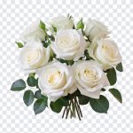 Wedding White Roses Bouquet, Wedding White Roses, Wedding White Roses Bouquet PNG, Wedding White, White Roses Bouquet, Roses Bouquet PNG, White Roses, PNG, PNG Images, Transparent Files, png free, png file, Free PNG, png download,