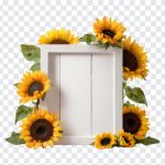 White Wooden Message Board, White Wooden Message Board with Sunflowers, Sunflowers, Sunflower Board, White Board, White Wooden Board, Flower Frames, Frames PNG, PNG, PNG Images, Transparent Files, png free, png file, Free PNG, png download,