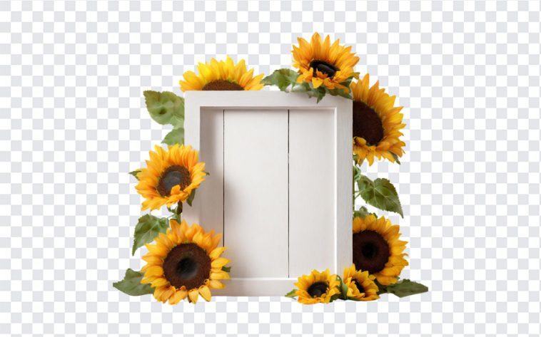 White Wooden Message Board, White Wooden Message Board with Sunflowers, Sunflowers, Sunflower Board, White Board, White Wooden Board, Flower Frames, Frames PNG, PNG, PNG Images, Transparent Files, png free, png file, Free PNG, png download,