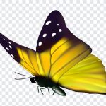 Yellow Butterfly, Yellow, Yellow Butterfly PNG, Butterfly PNG, PNG, PNG Images, Transparent Files, png free, png file, Free PNG, png download,