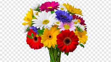 Colorful Daisy Flower Bouquet, Colorful Daisy Flower, Colorful Daisy Flower Bouquet PNG, Colorful Daisy, Daisy Flower, Flower Bouquet, Daisy, Flower, PNG, PNG Images, Transparent Files, png free, png file, Free PNG, png download,