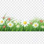 Flower Ground, Flower, Flower Ground PNG, Grass, Flower Grass, PNG, PNG Images, Transparent Files, png free, png file, Free PNG, png download,