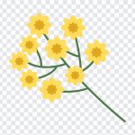 Flowers Clipart, Flowers, Flowers Clipart PNG, Clipart PNG, PNG, PNG Images, Transparent Files, png free, png file, Free PNG, png download,