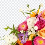 Flowers, Colorful Flowers, Flowers PNG, Flower Bouquet PNG, PNG, PNG Images, Transparent Files, png free, png file, Free PNG, png download,