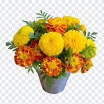 Marigold Flowers Bouquet, Marigold Flowers, Marigold Flowers Bouquet PNG, Marigold, Flowers Bouquet PNG, Bouquet, Flowers, PNG, PNG Images, Transparent Files, png free, png file, Free PNG, png download,