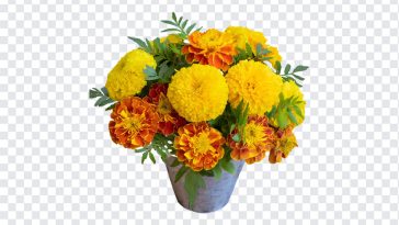 Marigold Flowers Bouquet, Marigold Flowers, Marigold Flowers Bouquet PNG, Marigold, Flowers Bouquet PNG, Bouquet, Flowers, PNG, PNG Images, Transparent Files, png free, png file, Free PNG, png download,