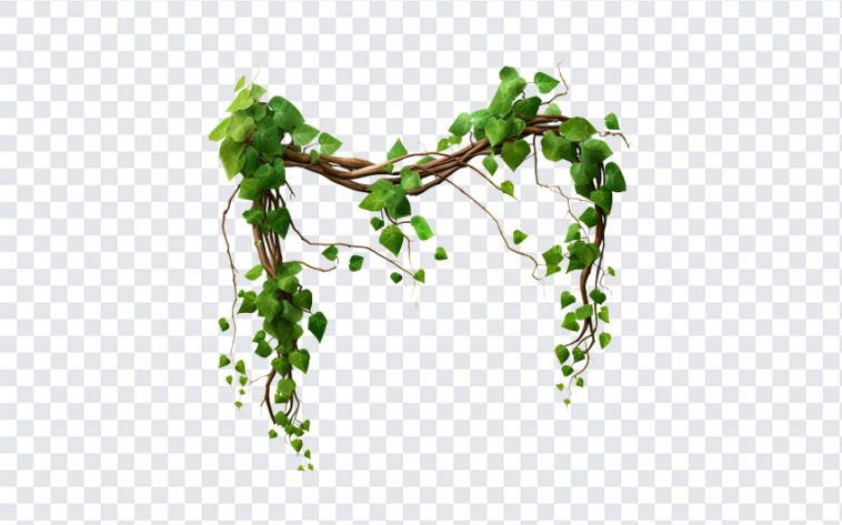 Root Tree, Root, Root Tree PNG, Root PNG, Nature, Tropical, PNG, PNG Images, Transparent Files, png free, png file, Free PNG, png download,