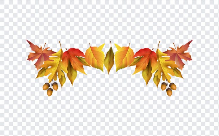 Autumn Leaves, Autumn, Autumn Leaves PNG, Leaves PNG, PNG, PNG Images, Transparent Files, png free, png file, Free PNG, png download,