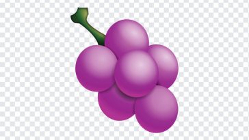 Grape Emoji, Grape, Grape Emoji PNG, iOS Emoji, iphone emoji, Emoji PNG, iOS Emoji PNG, Apple Emoji, Apple Emoji PNG, PNG, PNG Images, Transparent Files, png free, png file, Free PNG, png download,