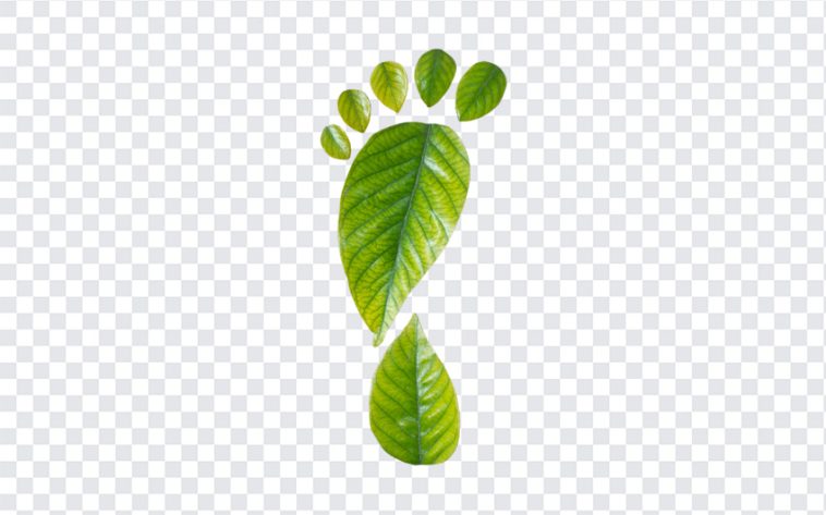 Leaf Footprint, Leaf, Leaf Footprint PNG, Footprint PNG, Nature, Natural, Earth Day, PNG, PNG Images, Transparent Files, png free, png file, Free PNG, png download,