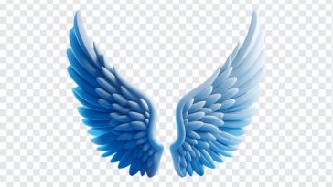Angel Wings, Angel, Angel Wings PNG, Wings PNG, PNG, PNG Images, Transparent Files, png free, png file, Free PNG, png download,