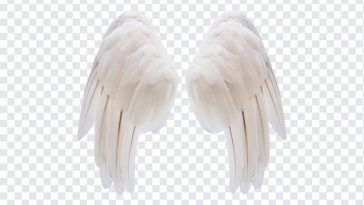 Angel Wings, Angel, Angel Wings PNG, Wings PNG, Angel PNG, PNG, PNG Images, Transparent Files, png free, png file, Free PNG, png download,
