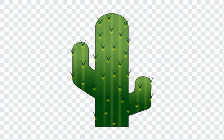 Cactus Emoji, Cactus, Cactus Emoji PNG, iOS Emoji, iphone emoji, Emoji PNG, iOS Emoji PNG, Apple Emoji, Apple Emoji PNG, PNG, PNG Images, Transparent Files, png free, png file, Free PNG, png download,