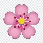 Cherry Blossom Emoji, Cherry Blossom, Cherry Blossom Emoji PNG, Cherry, iOS Emoji, iphone emoji, Emoji PNG, iOS Emoji PNG, Apple Emoji, Apple Emoji PNG, PNG, PNG Images, Transparent Files, png free, png file, Free PNG, png download,