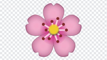 Cherry Blossom Emoji, Cherry Blossom, Cherry Blossom Emoji PNG, Cherry, iOS Emoji, iphone emoji, Emoji PNG, iOS Emoji PNG, Apple Emoji, Apple Emoji PNG, PNG, PNG Images, Transparent Files, png free, png file, Free PNG, png download,