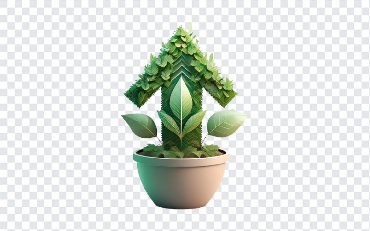 Growth Arrow Plant in Pot, Growth Arrow Plant in, Growth Arrow Plant in Pot PNG, Growth Arrow Plant, Growth Arrow, Arrow Plant in Pot, Arrow, Arrow Plant, Arrow PNG, Gree, PNG, PNG Images, Transparent Files, png free, png file, Free PNG, png download,