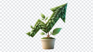 Growth Arrow Tree, Growth Arrow, Growth Arrow Tree PNG, Arrow, Arrow PNG, Arrow Tree PNG, Growth, PNG, PNG Images, Transparent Files, png free, png file, Free PNG, png download,