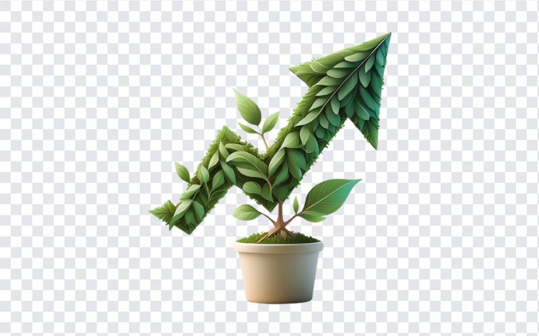 Growth Arrow Tree, Growth Arrow, Growth Arrow Tree PNG, Arrow, Arrow PNG, Arrow Tree PNG, Growth, PNG, PNG Images, Transparent Files, png free, png file, Free PNG, png download,