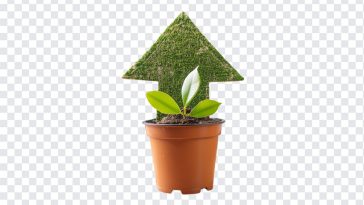 Growth Plant, Growth, Growth Plant PNG, Plant PNG, PNG, PNG Images, Transparent Files, png free, png file, Free PNG, png download,