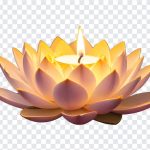 Lamp on Lotus Flower Vesak Day, Lamp on Lotus Flower Vesak, Lamp on Lotus Flower Vesak Day PNG, Lamp on Lotus Flower, Lotus Flower, Lotus Flower PNG, Vesak Day PNG, PNG, PNG Images, Transparent Files, png free, png file, Free PNG, png download,
