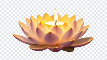 Lamp on Lotus Flower Vesak Day, Lamp on Lotus Flower Vesak, Lamp on Lotus Flower Vesak Day PNG, Lamp on Lotus Flower, Lotus Flower, Lotus Flower PNG, Vesak Day PNG, PNG, PNG Images, Transparent Files, png free, png file, Free PNG, png download,