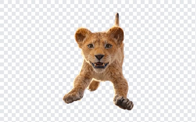 Mufasa, The Lion King, Mufasa PNG, Mufasa Movie, Simba, Lion, Lion Cub PNG, Cub, PNG, PNG Images, Transparent Files, png free, png file, Free PNG, png download,